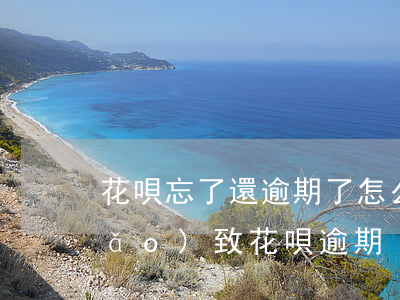 花唄忘了還逾期了怎么辦啊，忘記還款導(dǎo)致花唄逾期？教你如何解決！